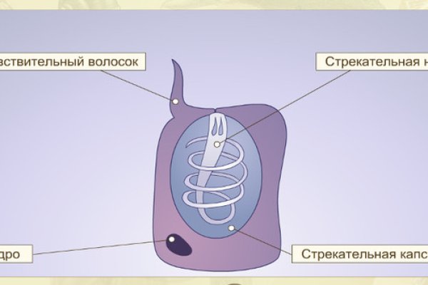 Кракен сайт зеркало рабочее