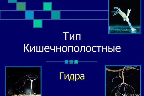 Кракен вход зеркало