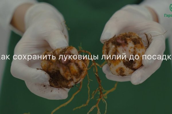 Кракен маркет даркнет только через тор скачать