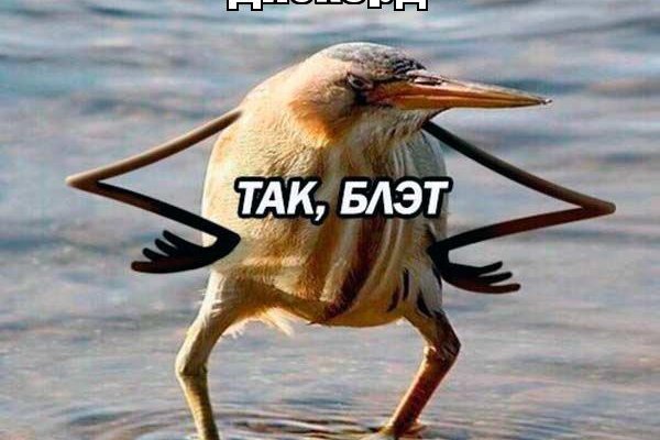 Кракен меф
