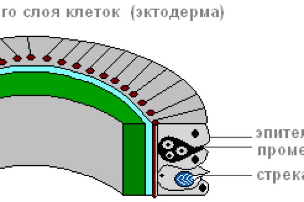 Как восстановить доступ к кракену