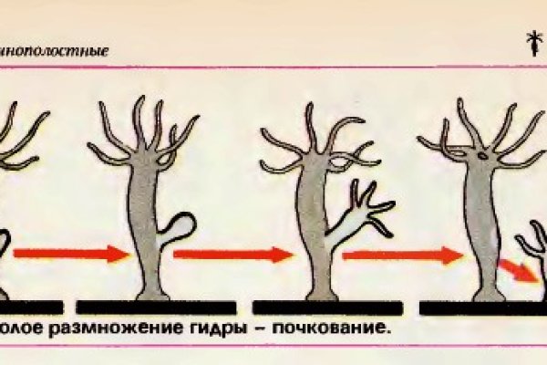 Адрес кракен в тор