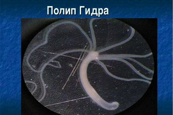 Как вывести деньги с кракена маркетплейс