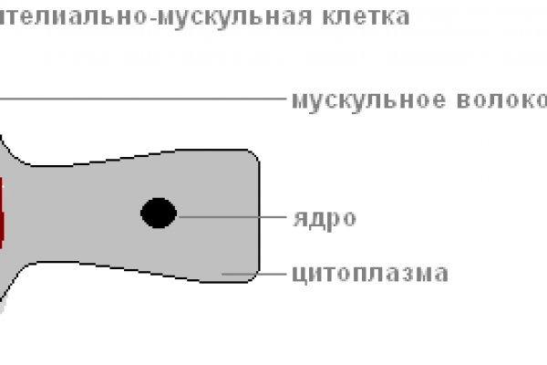 Кракен 9 at