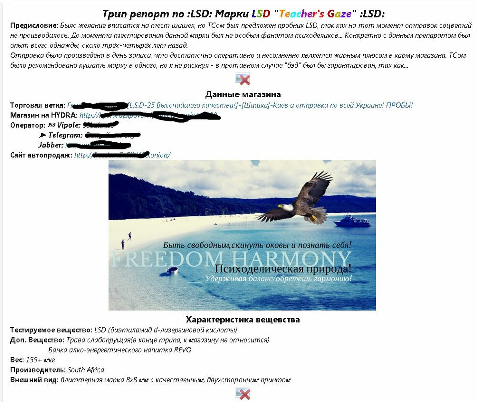 Почему не работает сайт кракен