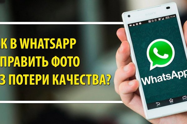 Ссылка на кракен не работает