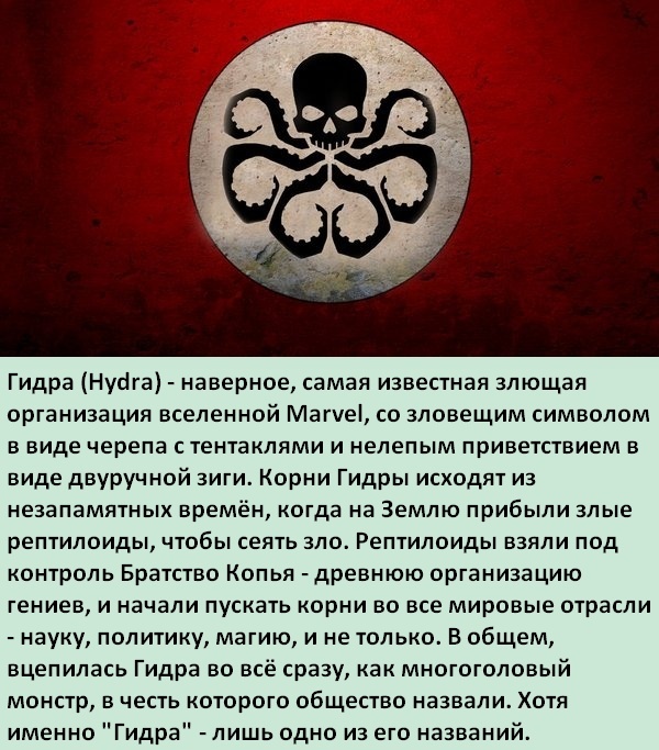 Kraken13at